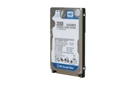 Жесткий диск Western Digital WD3200BEVE 320Gb 5400 IDE 2,5' HDD