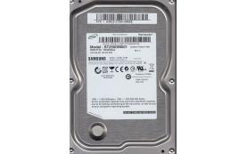 Жесткий диск Seagate ST250DM001 250Gb 7200 SATAII 3.5' HDD