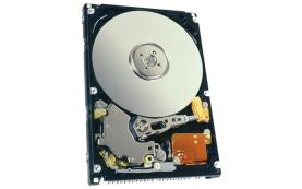 Жесткий диск Fujitsu CA06821-B114 40Gb 5400 IDE 2,5" HDD