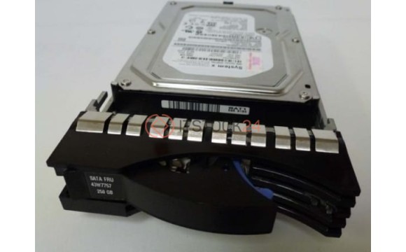 Жесткий диск IBM 42C0543 250Gb 7200 SATAII 3.5" HDD