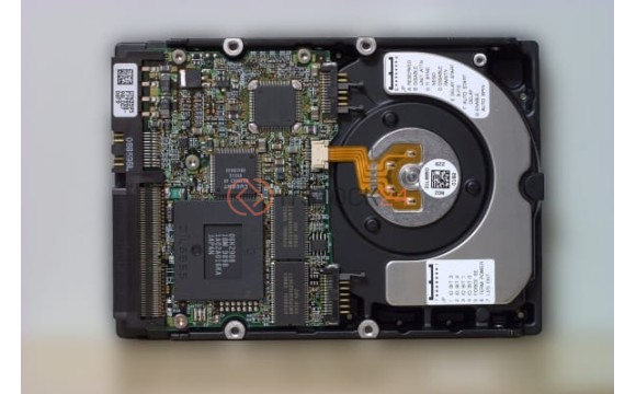 Жесткий диск IBM DDYS-T09170 36,7Gb  U320SCSI 3.5" HDD