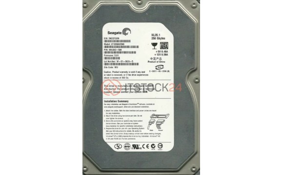 Жесткий диск Seagate 9BA363 250Gb  SATA 3,5' HDD