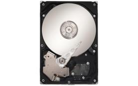 Жесткий диск Seagate FCSX-SATA500 500Gb  SATAII 3,5' HDD