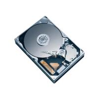 Жесткий диск Seagate ST3160812SV 160Gb SATAII 3,5' HDD Жесткий диск Seagate ST3160812SV 160Gb SATAII 3,5' HDD
