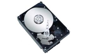 Жесткий диск Seagate ST3300820A 300Gb 7200 IDE 3.5' HDD