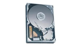 Жесткий диск Maxtor STM3300620A 300Gb 7200 IDE 3.5' HDD