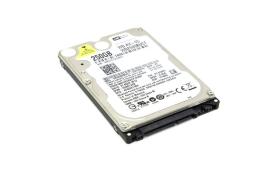 WD2500BUCT Жесткий диск Western Digital 2.5 AV-25 250 Гб SATA
